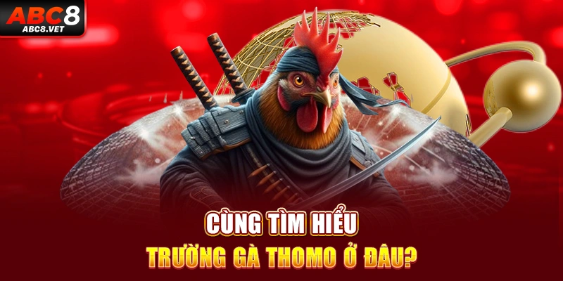 Cùng tìm hiểu trường gà Thomo ở đâu?