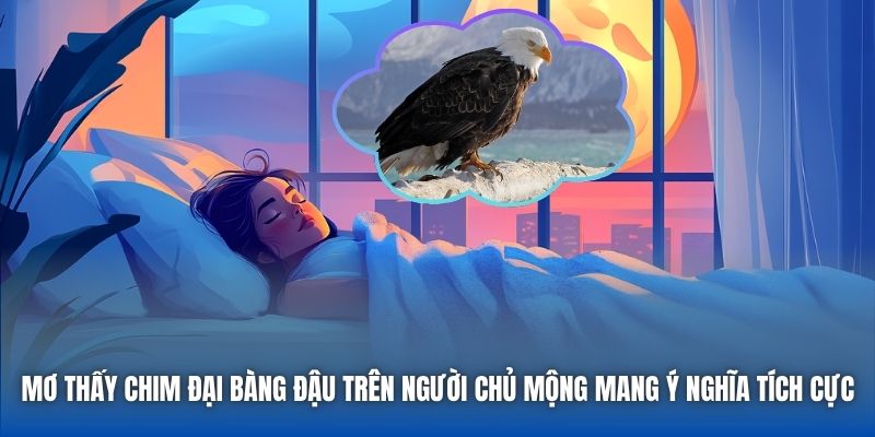 Mơ thấy chim đại bàng đậu trên người chủ mộng mang ý nghĩa tích cực